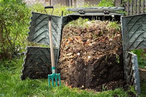Compost bien décomposé prêt à être utilisé