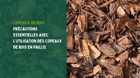 Infographie comparant les avantages des copeaux de bois par rapport aux autres paillis