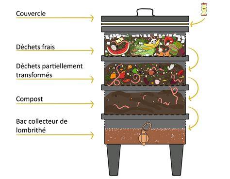 Illustration d'un lombricomposteur multi-étages avec système de récupération de jus