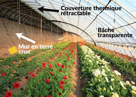 Exemple de masse thermique dans une serre