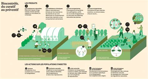 Infographie comparant l'impact environnemental des insecticides de synthèse versus le biocontrôle