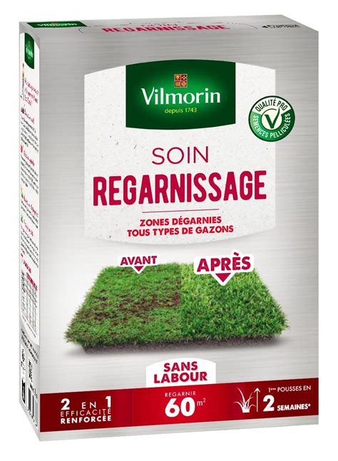 Calendrier idéal pour le regarnissage de pelouse en fonction des saisons