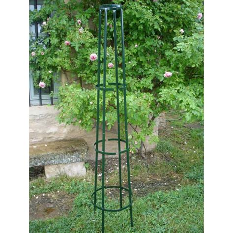Tuteur en acier galvanisé pour plante grimpante