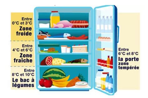 Schéma montrant les différentes étapes de conservation des feuilles : réfrigération, congélation et séchage