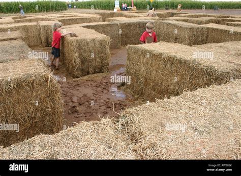 enfants s'amusant dans un labyrinthe de paille