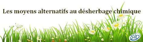 Infographie présentant les alternatives mécaniques au désherbage chimique