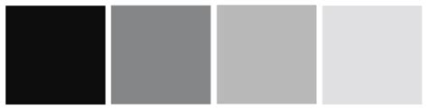Palettes de couleurs gris et blanc