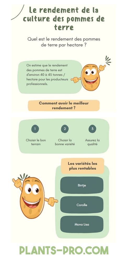 Schéma du rendement des pommes de terre par pied