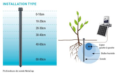 diagramme arrosage goutte à goutte enterré vs surface