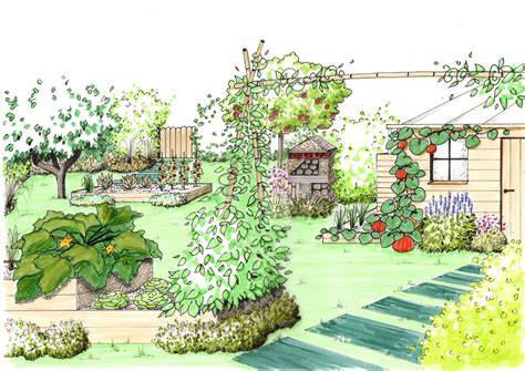 illustration d'un jardin potager avec sol paillé