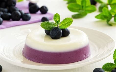 Assiette de Panna Cotta garnie de myrtilles fraîches et de coulis