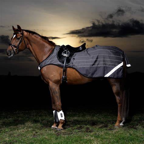 cheval avec couvre-reins en plein hiver