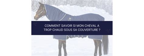 cheval transpirant sous une couverture trop épaisse
