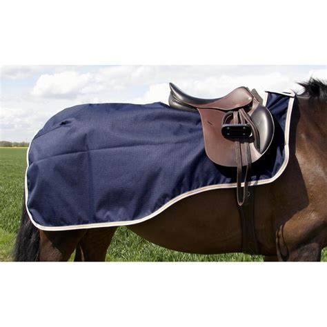 couvre-reins imperméable sur cheval au pré