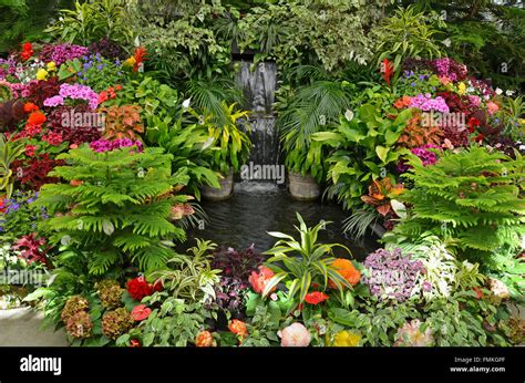 Image d'un jardin urbain luxuriant avec une variété de fleurs et d'insectes