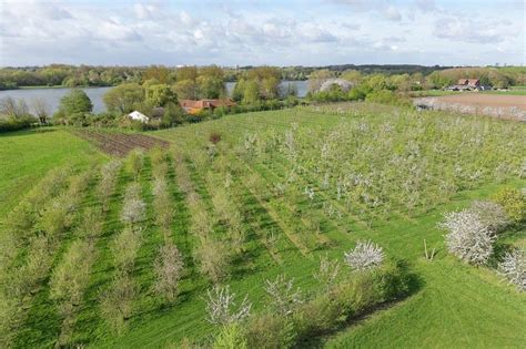 Verger conservatoire et pépinière en milieu rural normand