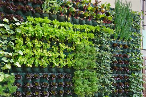 jardinage vertical
