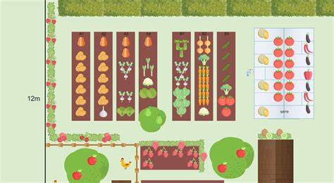 Plan de jardin potager avec des rangées d'ail bien espacées