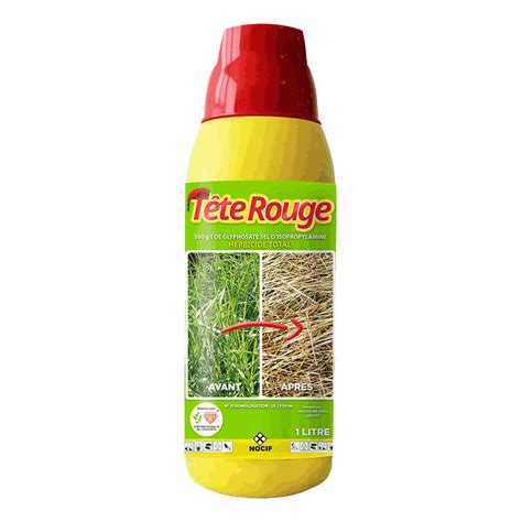 Schéma illustrant la différence d'action entre un herbicide total et un herbicide sélectif sur les dicotylédones au sein d'une parcelle de graminées