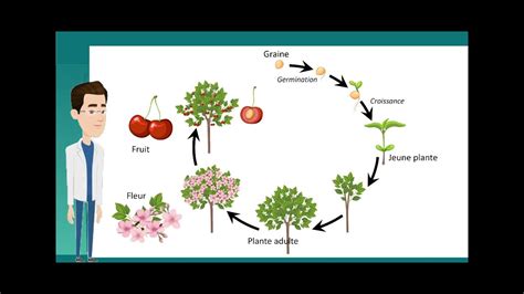 Diagramme pH-Eh de l'équilibre des plantes et du développement des pathogènes