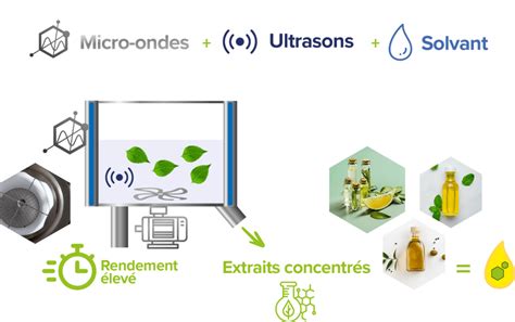 Schéma illustrant la synergie entre les extraits naturels de plantes et les technologies esthétiques de pointe