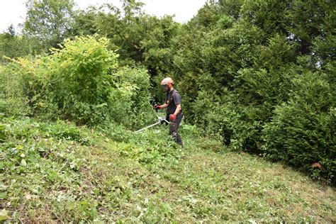 technique de débroussaillage professionnel en zone boisée