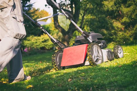 Tondeuse mulching en action sur une pelouse