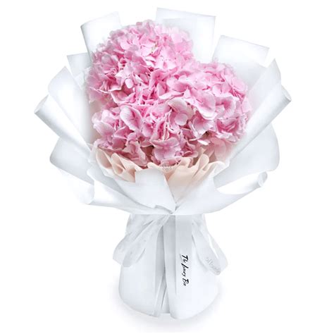 Bouquet d'hortensias ravivé par l'eau chaude