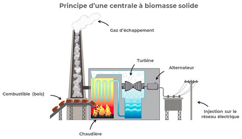 Centrale électrique à biomasse utilisant des copeaux de bois comme combustible