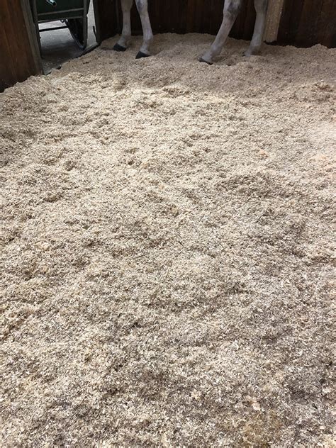Litière de copeaux de bois dans une écurie pour chevaux