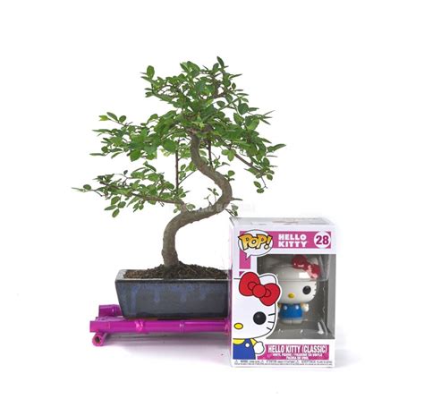 Vue d'un intérieur moderne avec le Bonsai Kitty Plush exposé sur une étagère, entouré d'autres objets de culture pop.