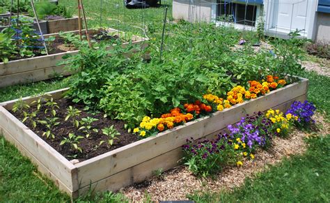 jardin potager biologique Québec
