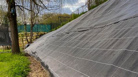 Exemple d'une culture de fraises protégée par une toile de paillage en chanvre