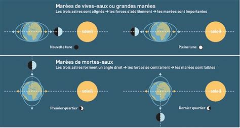 Représentation artistique de la Lune tirant sur les marées océaniques