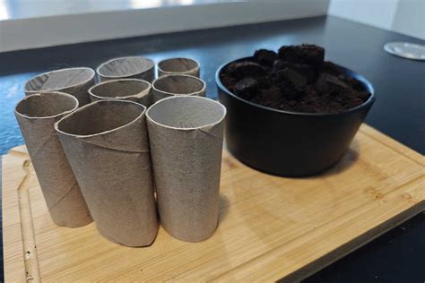 Marc de café séché et rouleaux de papier toilette