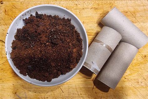 Bûches de marc de café dans des rouleaux de papier toilette