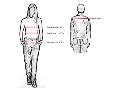 Illustration de la différence de taille idéale pour la récolte du cornichon