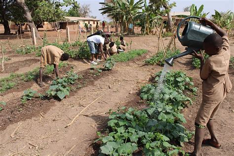 enfants jardinant dans un jardin scolaire