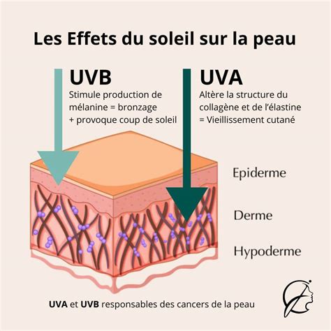 Illustration des effets du lierre sur la peau