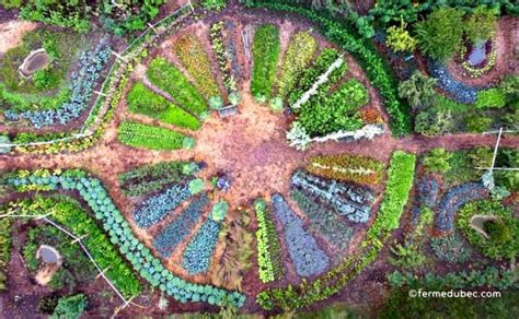 Exemple de jardin mandala avec des buttes permanentes sans bordures