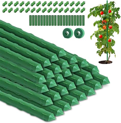 Comparaison visuelle de différents types de tuteurs pour plantes