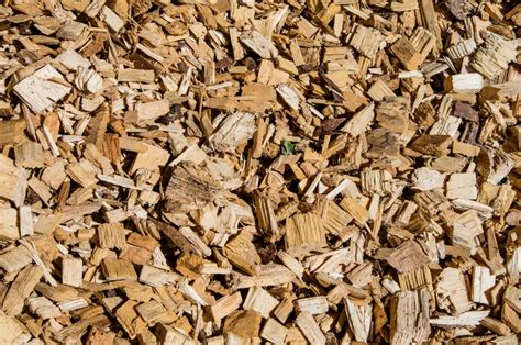 illustration de bois raméal fragmenté étalé sur un potager