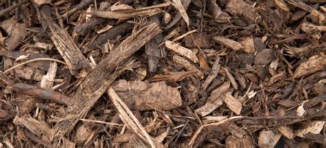 comparaison visuelle entre BRF et paillis de bois plus âgé