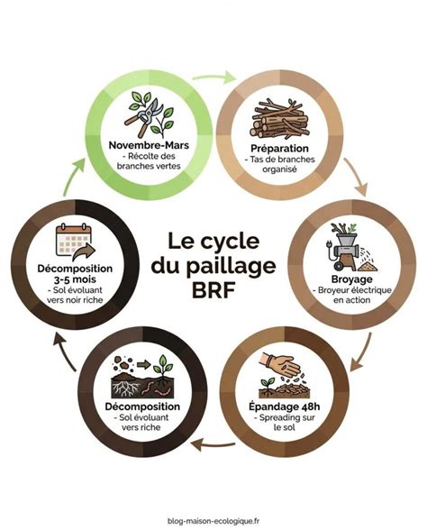 infographie sur l'enfouissement et le paillage du BRF