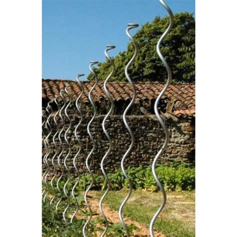 Schéma explicatif montrant le positionnement d'un tuteur en acier galvanisé au pied d'un plant de tomate