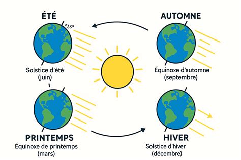 Schéma illustrant le cycle des saisons et les périodes de semis au potager