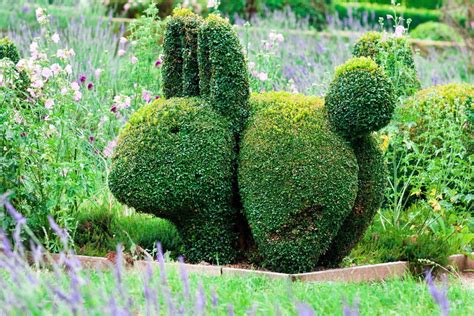 Topiaire de lierre en forme d'animal