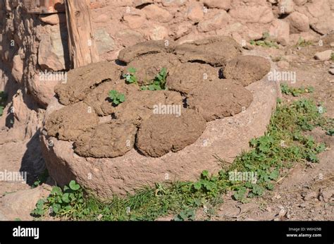 Tandoor traditionnel utilisant de la bouse séchée comme combustible