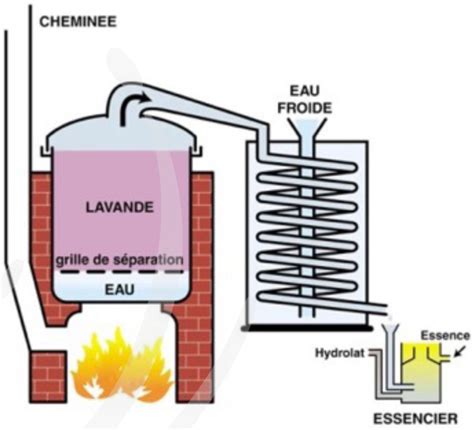 Un alambic traditionnel utilisé pour l'extraction des huiles essentielles d'agrumes