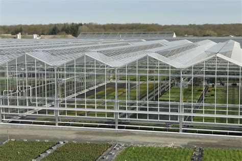 serres horticoles en production